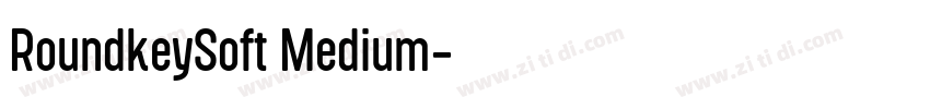 RoundkeySoft Medium字体转换